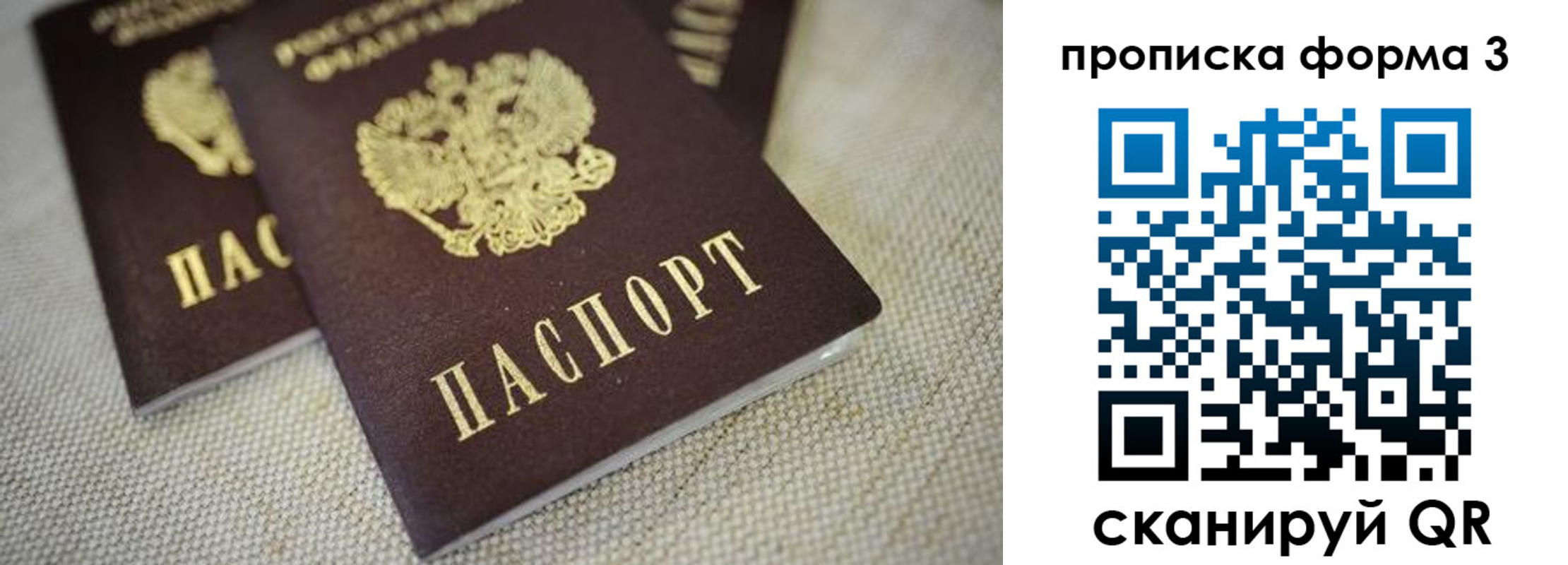 регистрация в Павловском Посаде